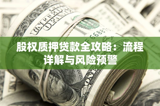 武汉股权质押贷款全攻略：流程详解与风险预警