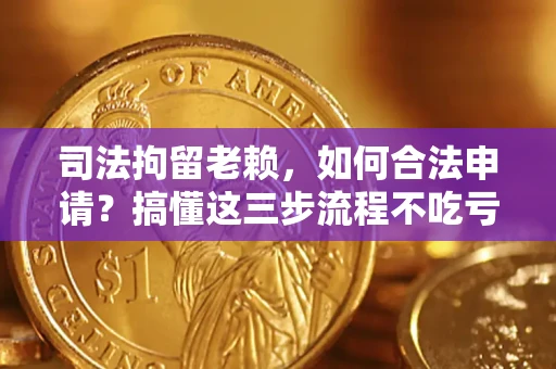 武汉司法拘留老赖，如何合法申请？搞懂这三步流程不吃亏！