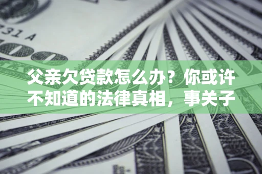 武汉父亲欠贷款怎么办？你或许不知道的法律真相，事关子女未来