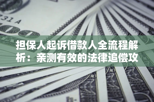 武汉担保人起诉借款人全流程解析：亲测有效的法律追偿攻略