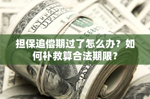 武汉担保追偿期过了怎么办？如何补救算合法期限？