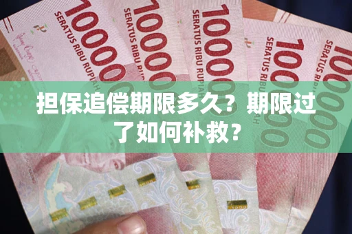 武汉担保追偿期限多久？期限过了如何补救？
