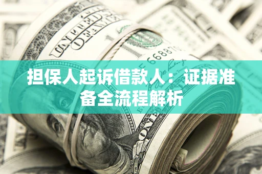 武汉担保人起诉借款人：证据准备全流程解析