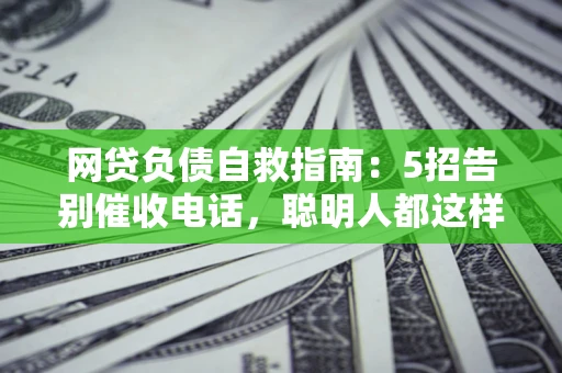 武汉网贷负债自救指南：5招告别催收电话，聪明人都这样做
