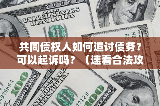 武汉共同债权人如何追讨债务？可以起诉吗？（速看合法攻略）