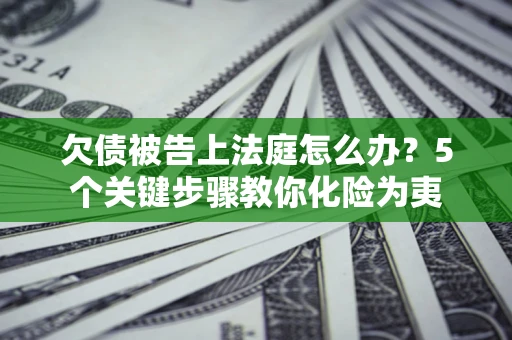 武汉欠债被告上法庭怎么办？5个关键步骤教你化险为夷